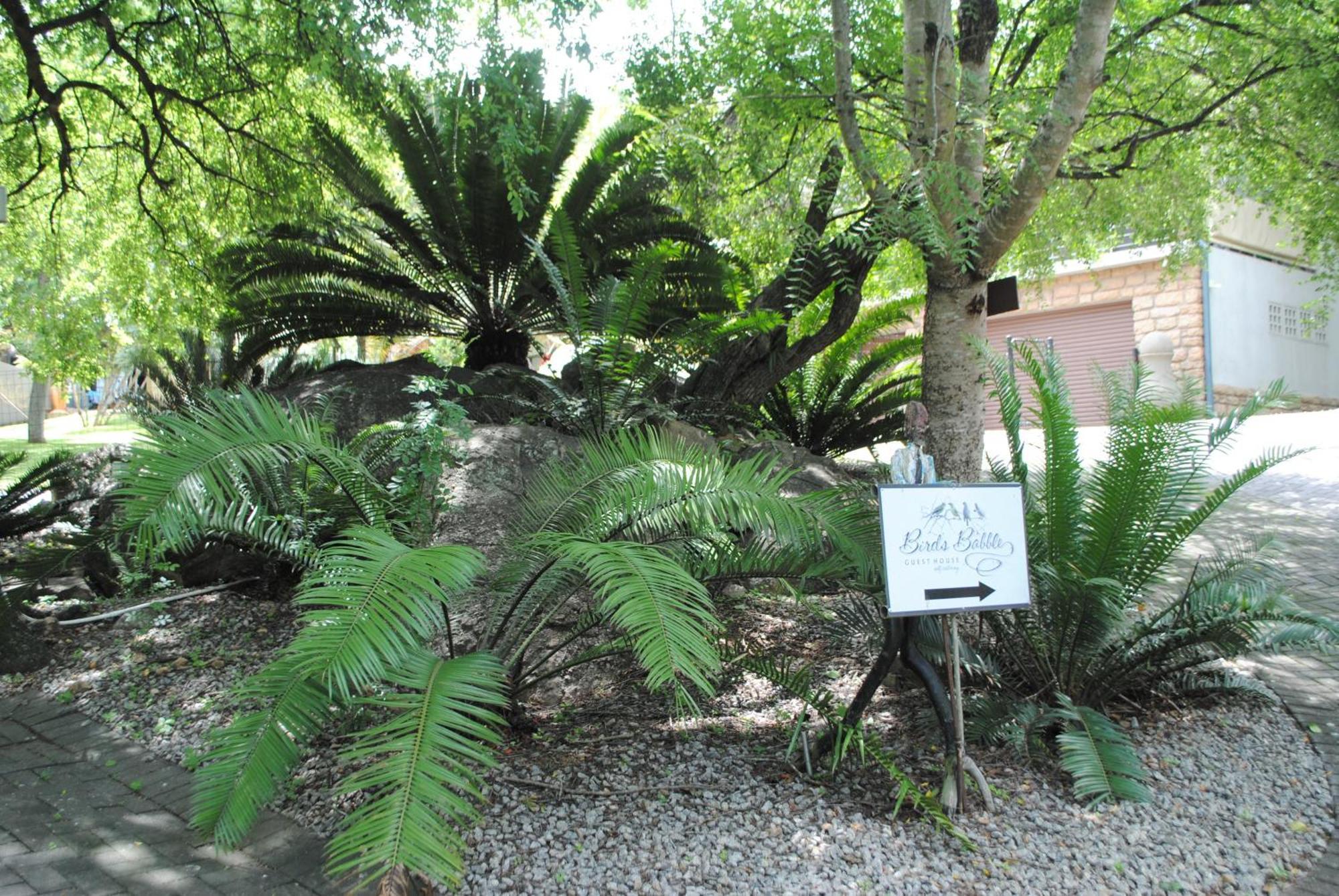 Birds Babble Self Catering Hotel Mbombela ภายนอก รูปภาพ