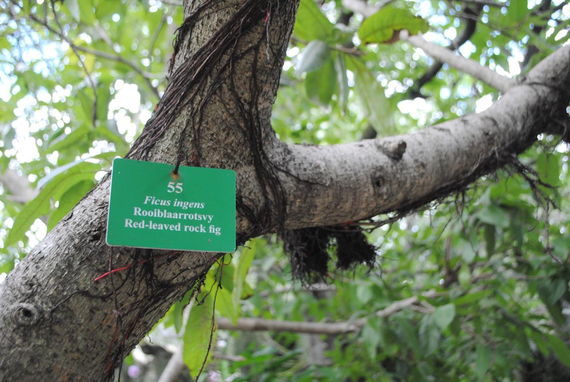 Birds Babble Self Catering Hotel Mbombela ภายนอก รูปภาพ